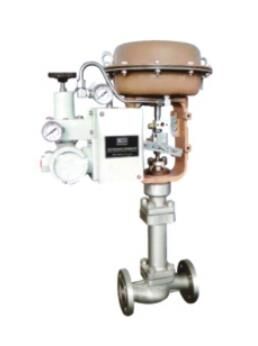 Bellows Control Valve 1 Bellows Control Valve